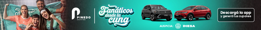 Pinedo Shopping  (web y mobile)